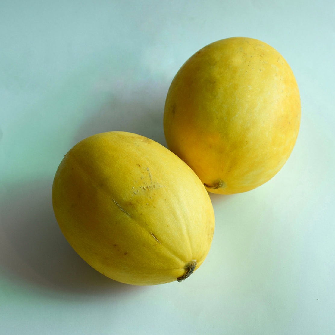 Sun Melon