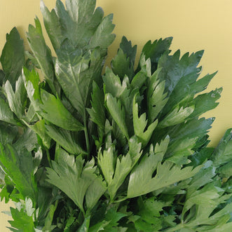 Parsley (Flat)