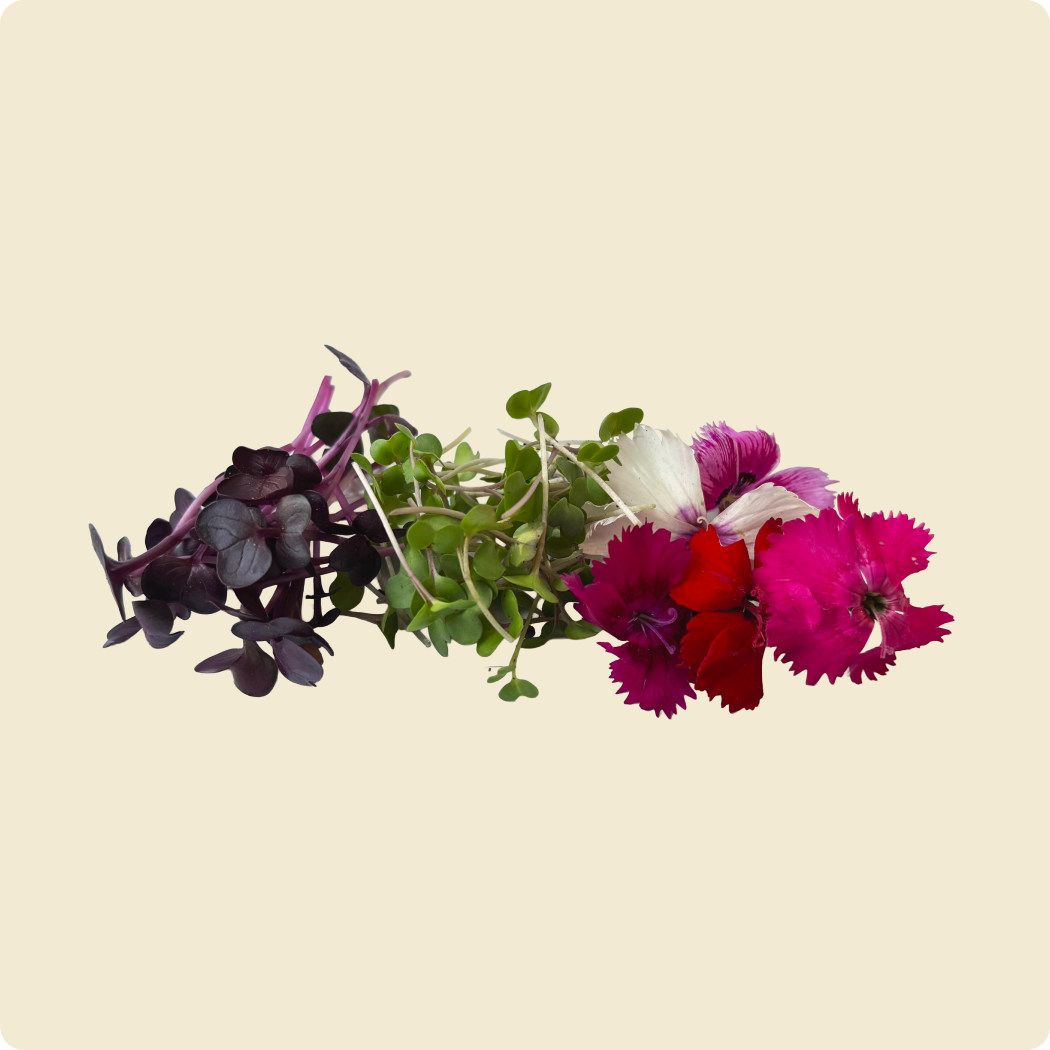 Garnish Box Mix
