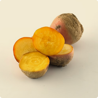 Golden Beetroot