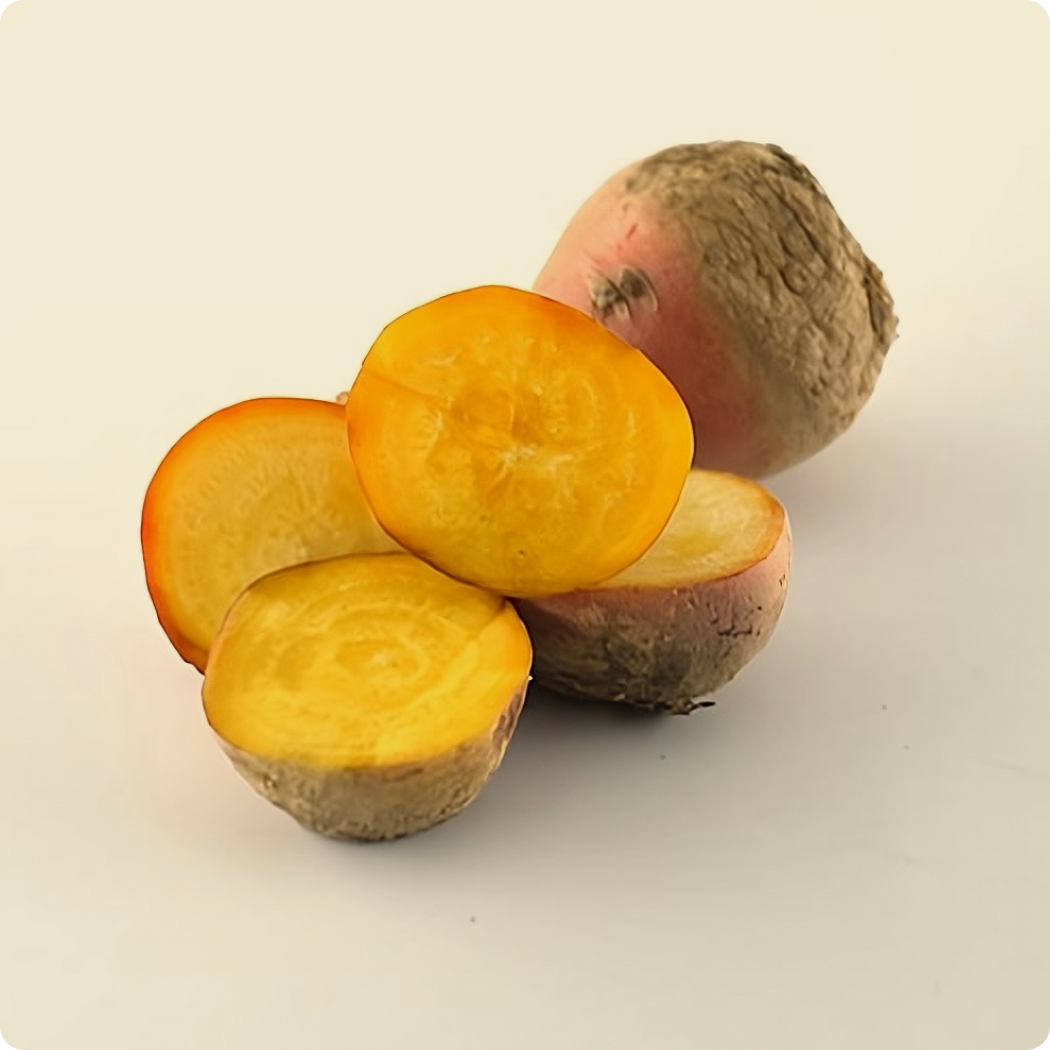 Golden Beetroot