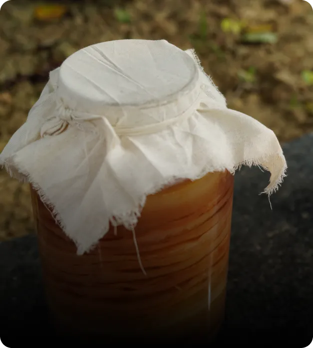 Triple Fermentation