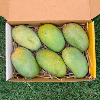 Gir Kesar Mango