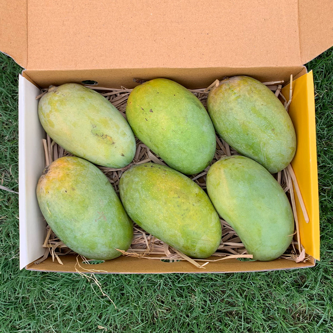 Gir Kesar Mango