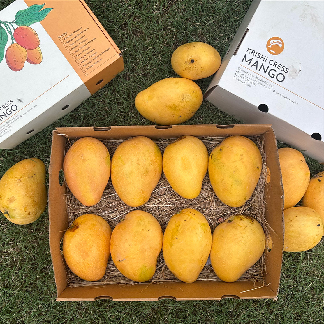 Golden Safeda Mango