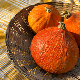 Red Kuri Squash