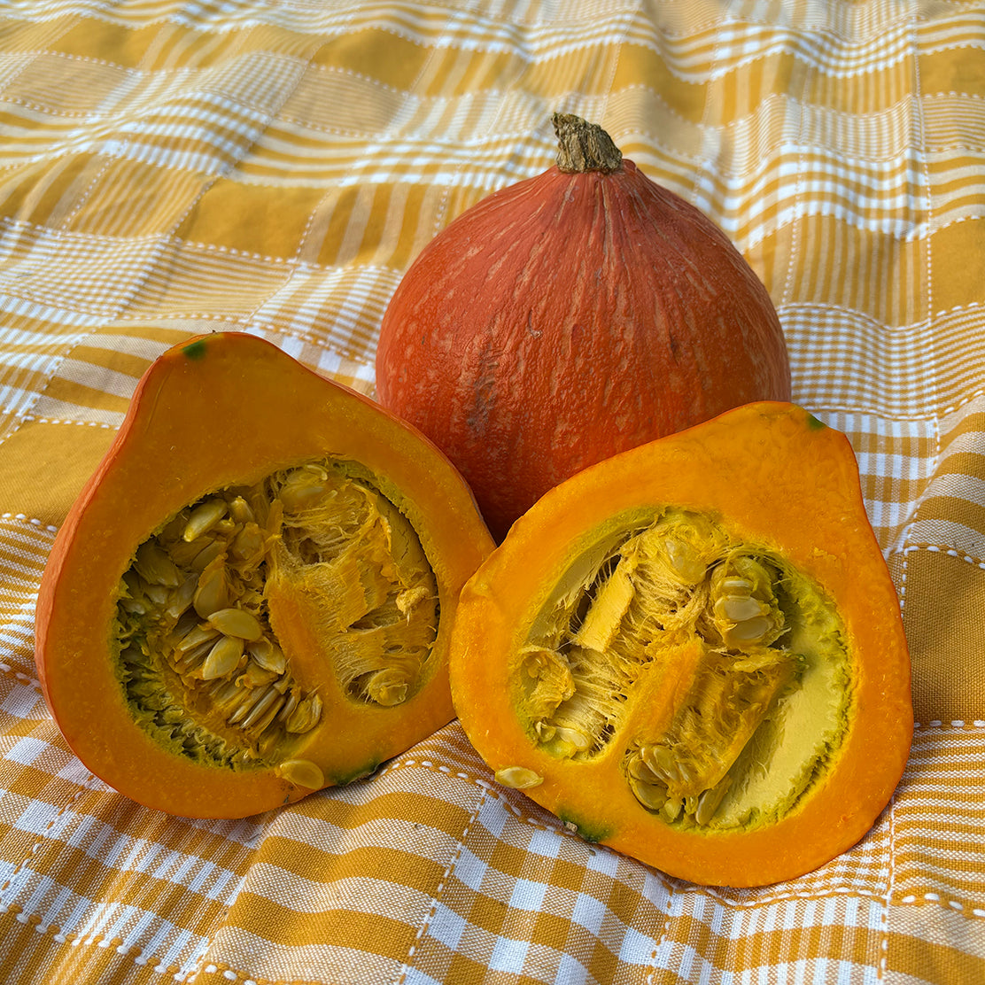 Red Kuri Squash