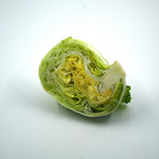 Lettuce (Iceberg)