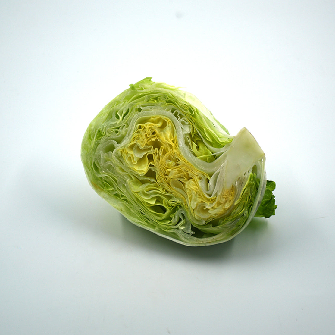 Lettuce (Iceberg)