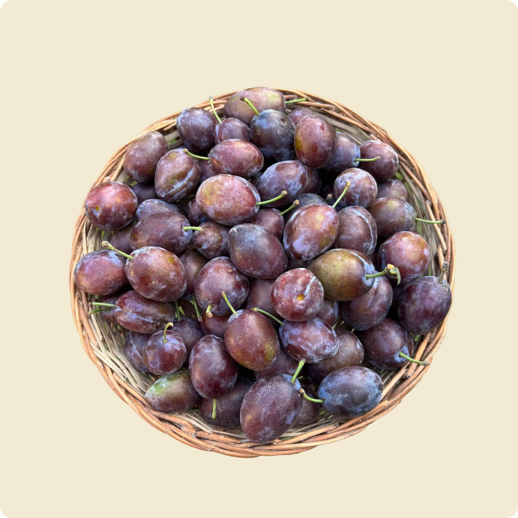 Prunes (Himachal)