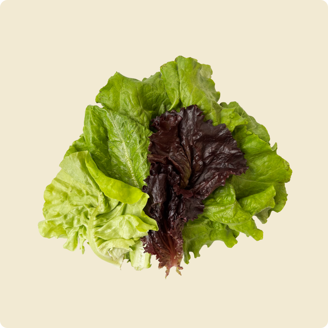 Lettuce Mix