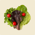 Lettuce Mix With Cherry Tomato