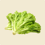 Lettuce (Green Leafy)