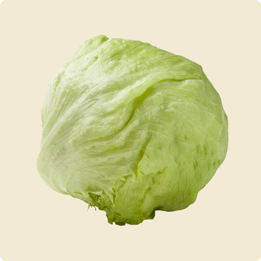 Lettuce (Iceberg)