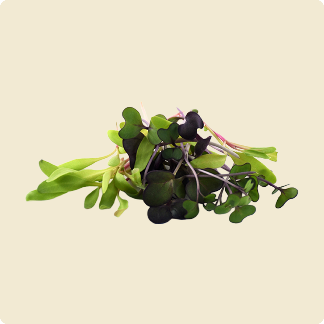 Microgreen Mix