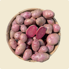 Mulberry Beauty Potato