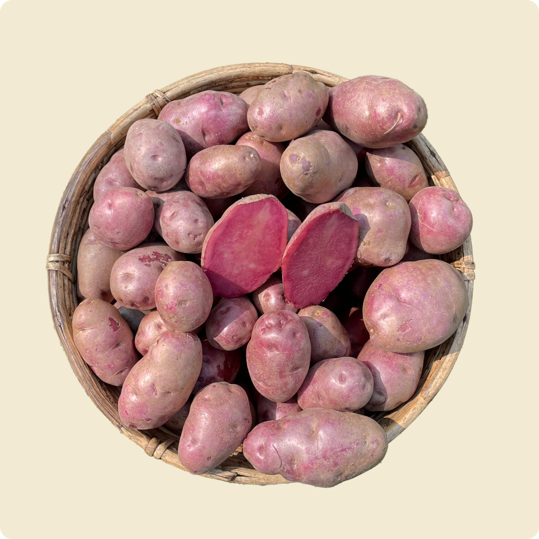 Mulberry Beauty Potato