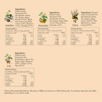Kombucha ++ Trial Pack of 10 (100ml each)