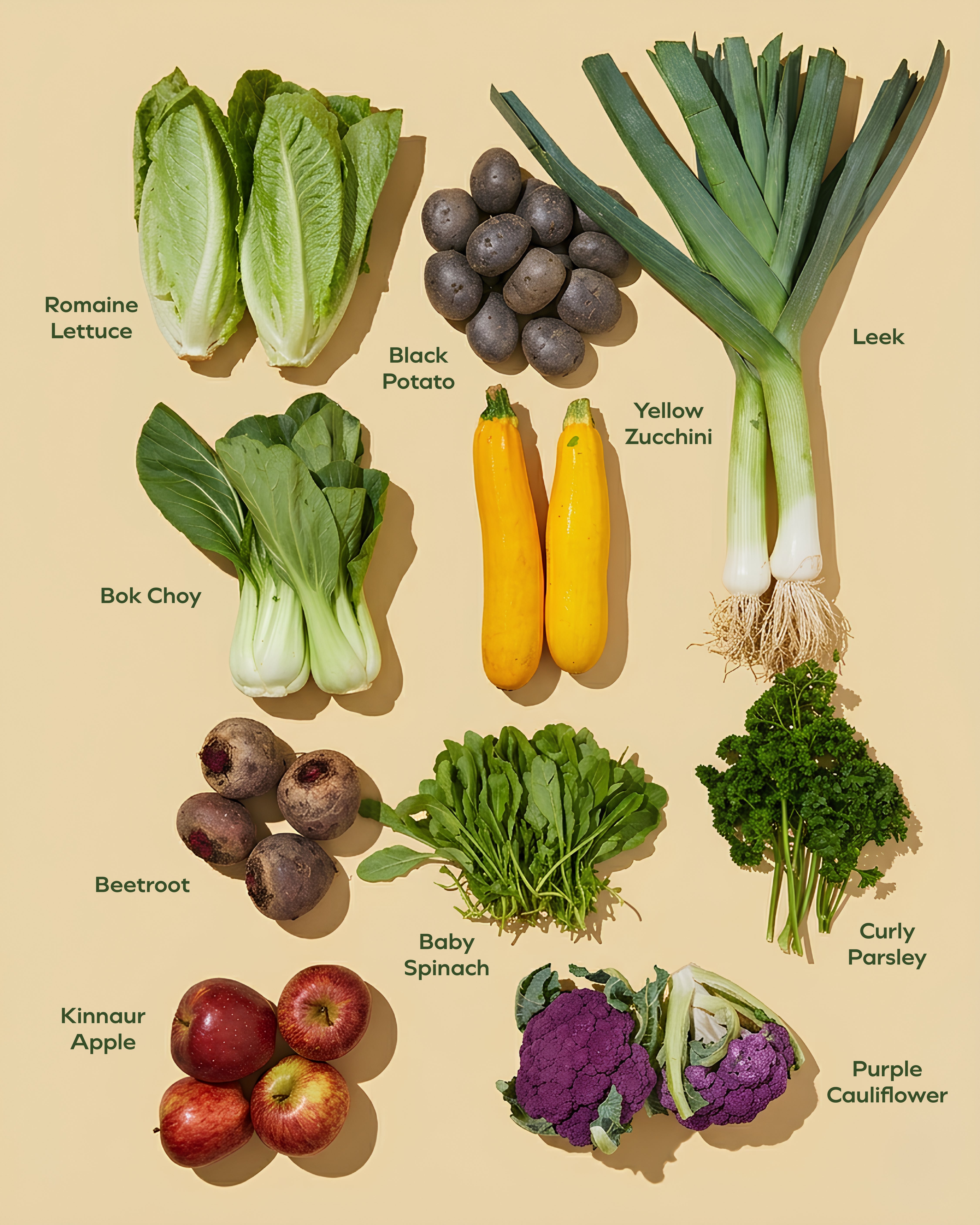 Week Image
