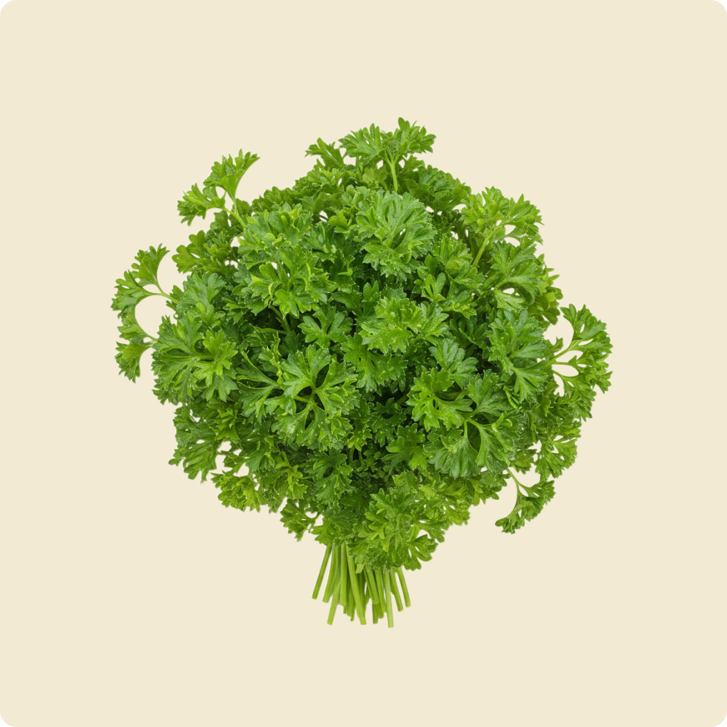 Parsley (Curly)