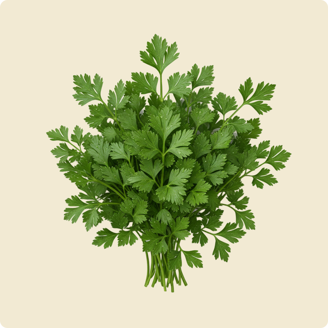 Parsley (Flat)