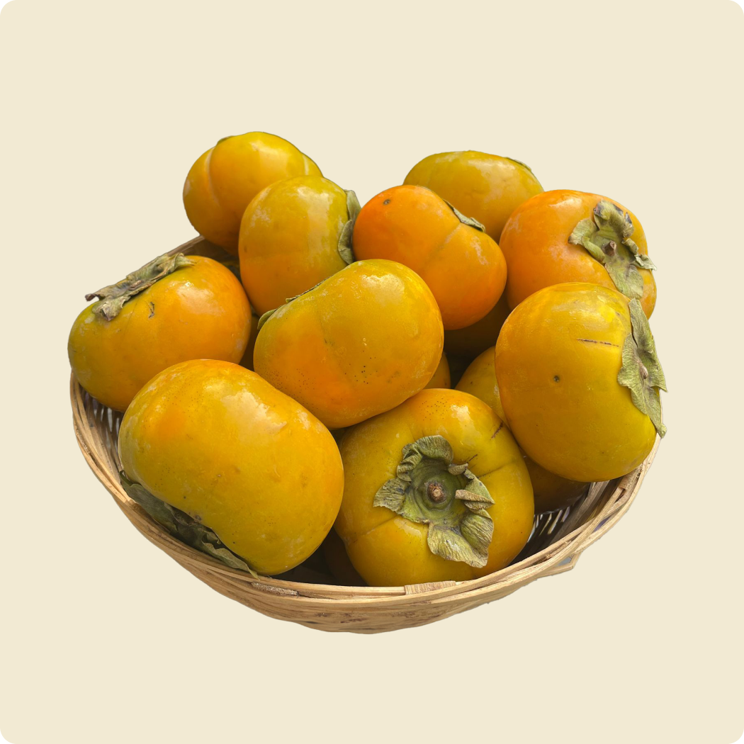 Persimmon (Himachal)