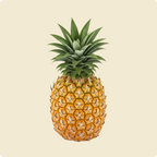 Pineapple (Queen)