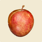 Plum