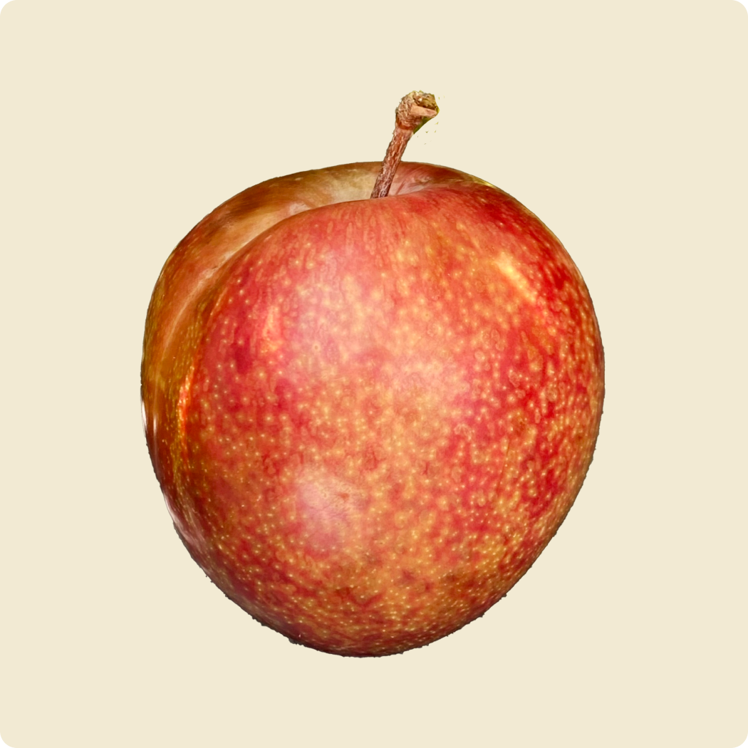 Plum