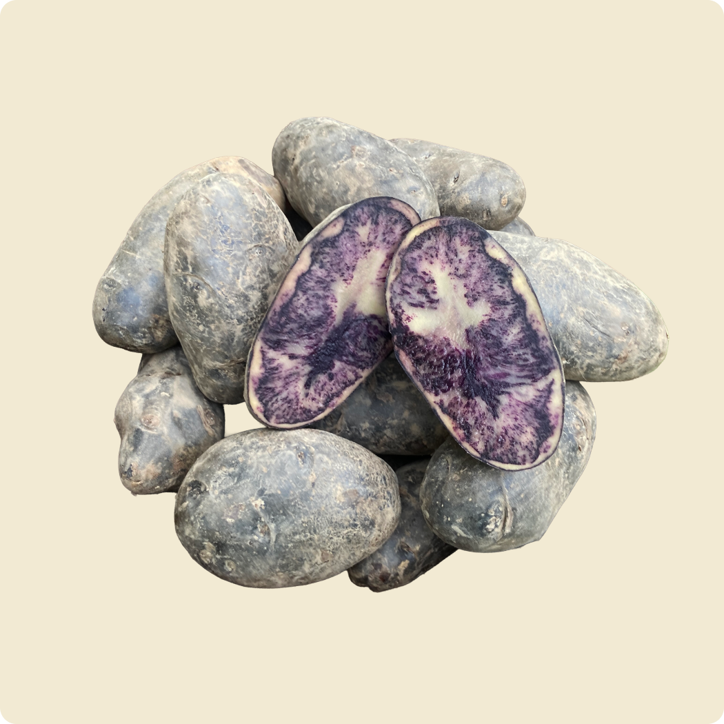 Potato (Black)