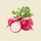 Radish (Red Round)