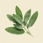 Sage