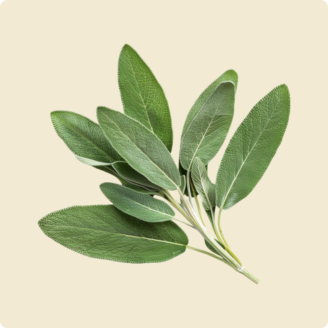 Sage