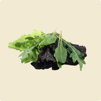 Salad Mix