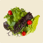 Salad Mix With Cherry tomatoes