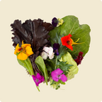 Salad Mix with Edible Flowers