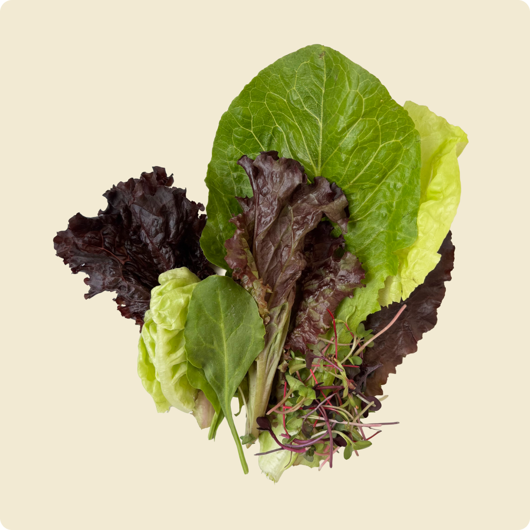 Salad Mix with Microgreens