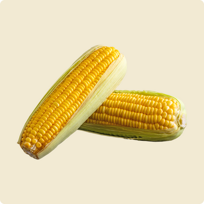Sweet Corn -Store in the Freezer