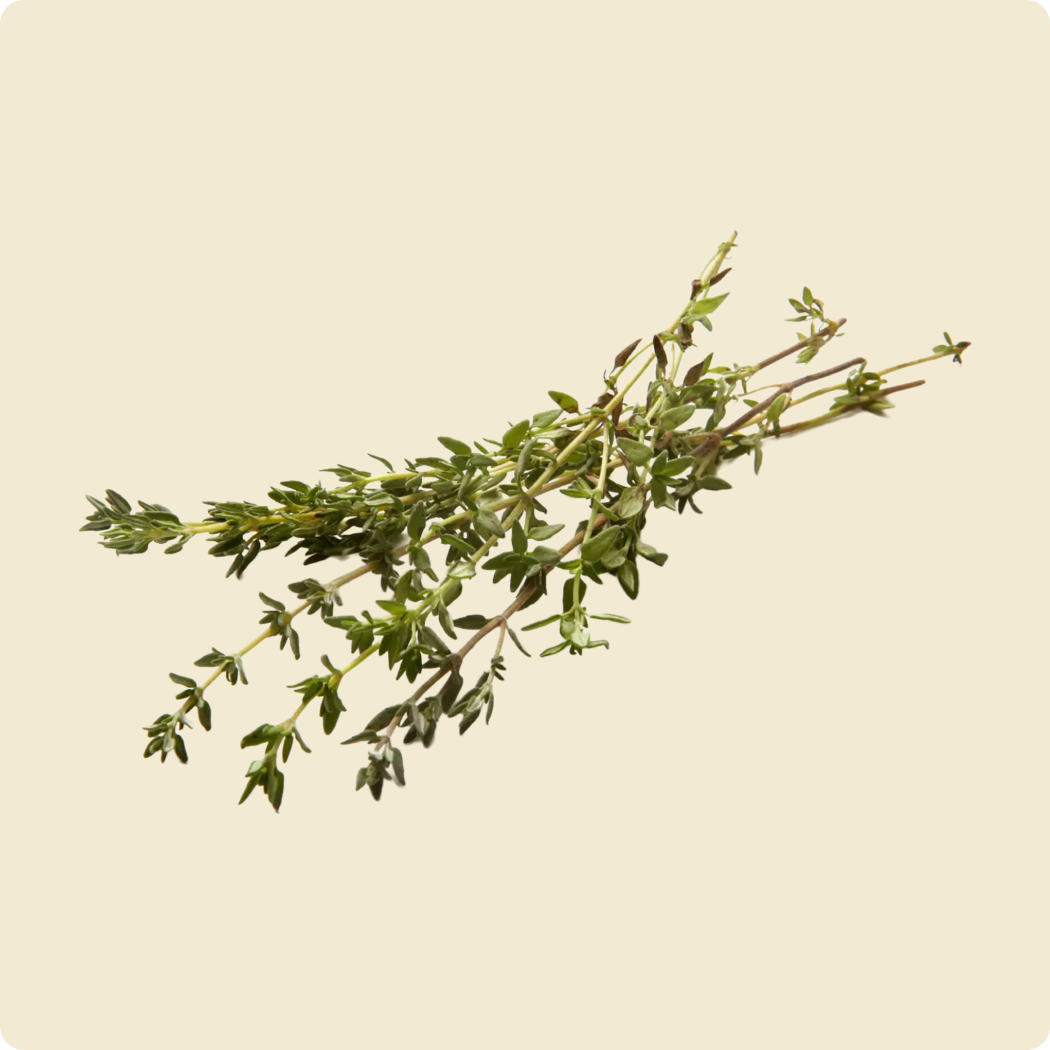 Thyme