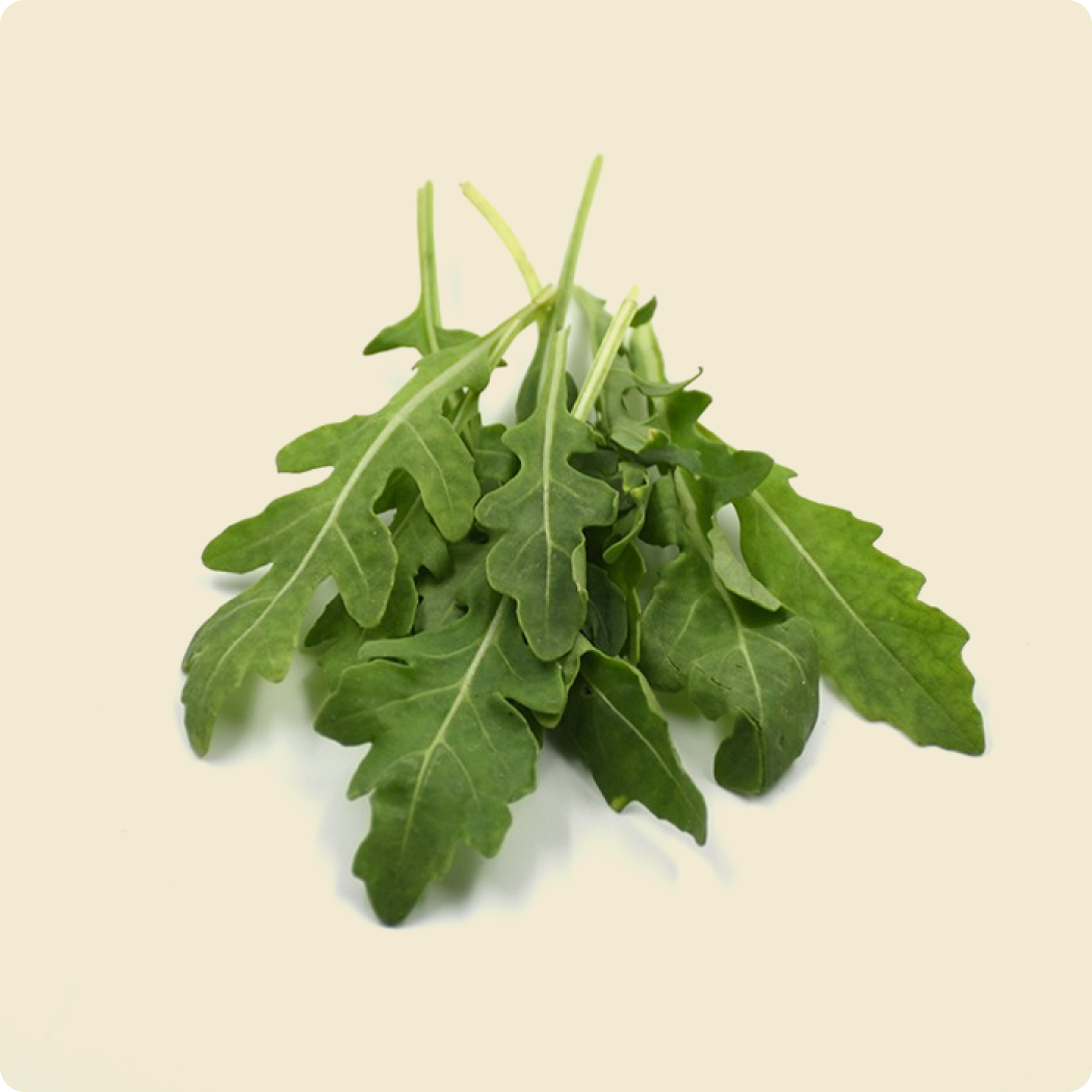 Wild Italian Rocket