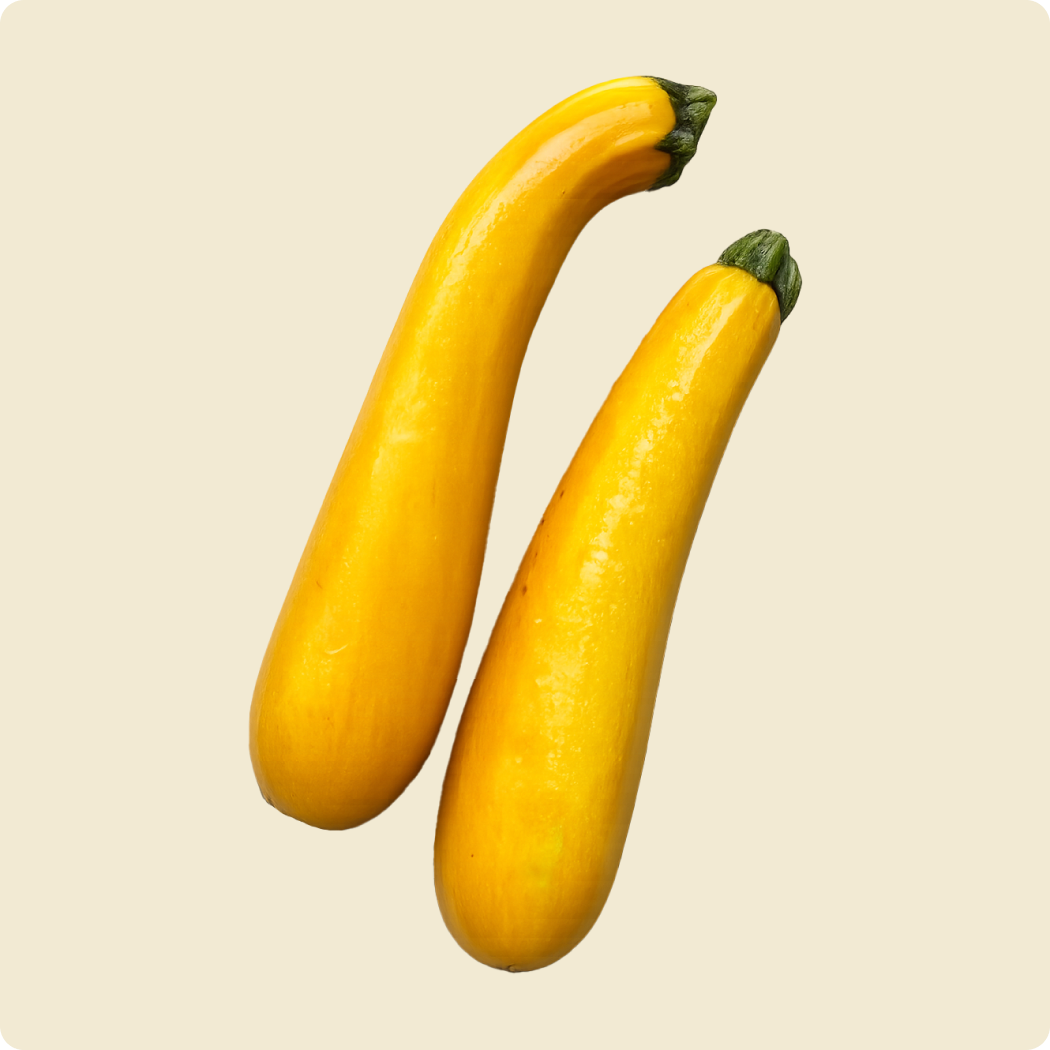 Zucchini (Yellow)