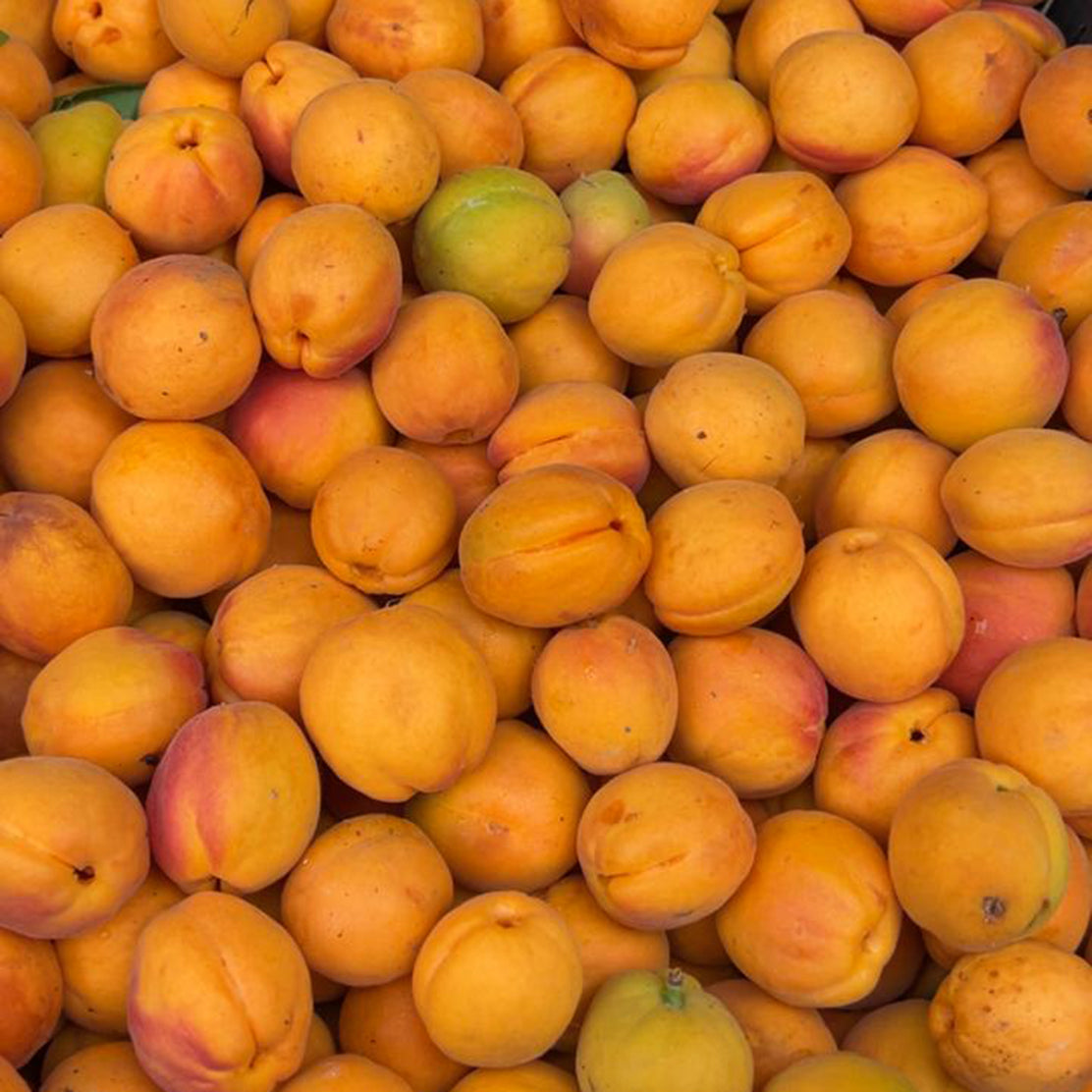 Halman Ladakhi Apricots