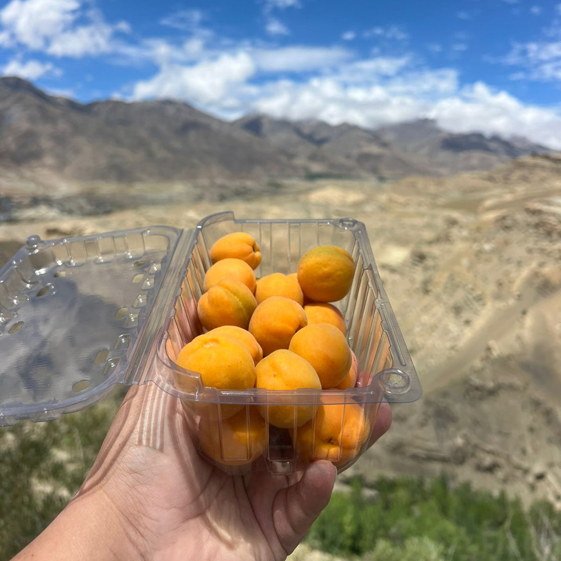Halman Ladakhi Apricots