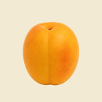 Halman Ladakhi Apricots