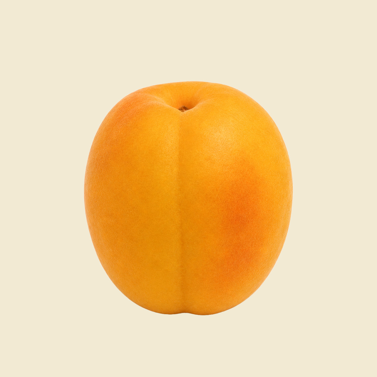 Halman Ladakhi Apricots