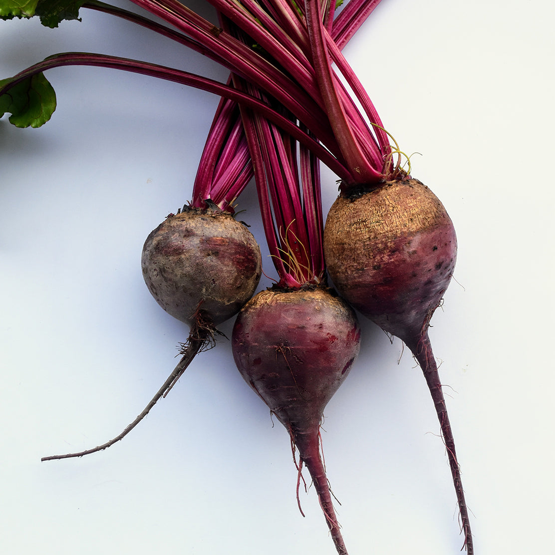 Baby Beetroot