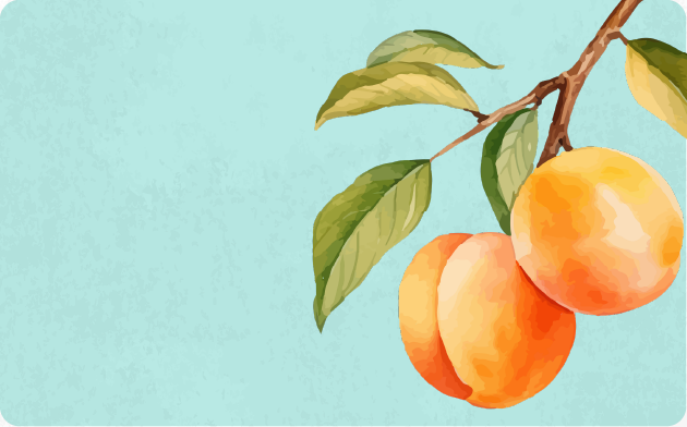 Halman Apricots, in stock now