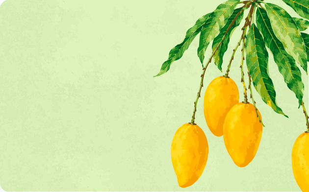 The last mangoes of summer