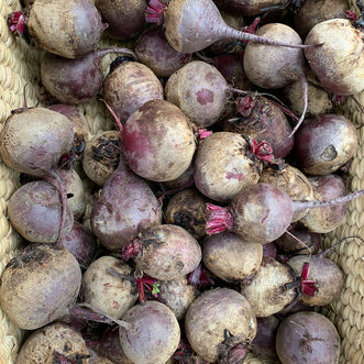 Beetroot