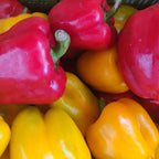 Bell Pepper Mix